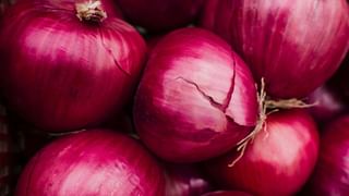 Bigg Boss Malayalam 7: ‘ഞാൻ പിന്മാറാൻ ഉദ്ദേശിക്കുന്നില്ല, ഫ്രീ പ്രൊമോഷന് ഹേറ്റേഴ്സിന് നന്ദി’; വിവാദങ്ങളിൽ തളരാതെ മസ്താനി