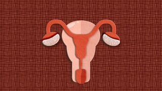 Milad Un Nabi 2025: പ്രവാചകനെ ഓർമ്മിക്കാം; നബിദിനത്തിൽ പ്രിയപ്പെട്ടവർക്കുള്ള ആശംസകൾ നേരാം