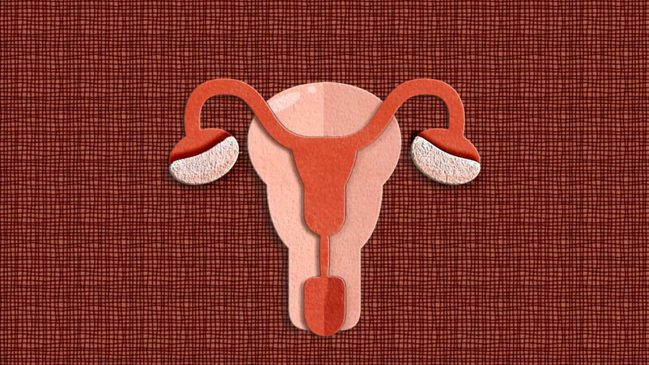 PCOS In Teens: കൗമാരക്കാരിൽ പിസിഒഎസ് വർദ്ധിക്കുന്നു: കാരണങ്ങൾ വെളിപ്പെടുത്തി ഗൈനക്കോളജിസ്റ്റ് PCOS In Teens: കൗമാരക്കാരിൽ പിസിഒഎസ് വർദ്ധിക്കുന്നു: കാരണങ്ങൾ വെളിപ്പെടുത്തി ഗൈനക്കോളജിസ്റ്റ്