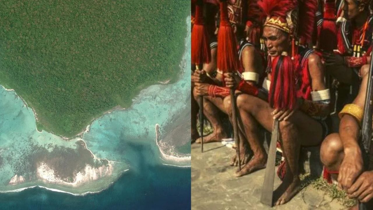 Andaman Census: മരണമുറപ്പിച്ച് സെൻസസിനൊരുങ്ങുന്നോ ആൻഡമാൻ ഭരണകൂടം, ലക്ഷ്യം സെന്റിനലീസ്