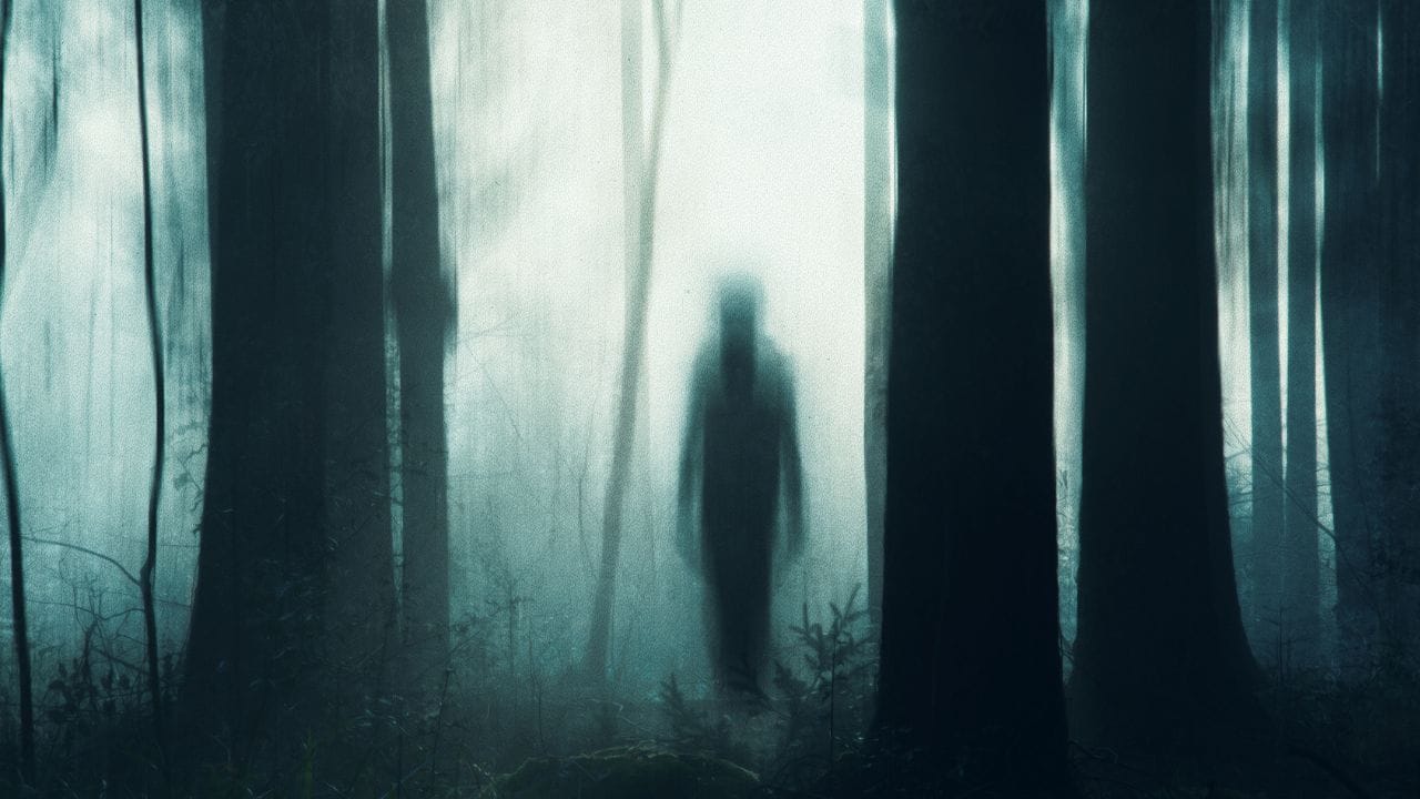 എന്നാല്‍ പലര്‍ക്കും തങ്ങള്‍ കഴിഞ്ഞ ജന്മത്തില്‍ അവര്‍ എന്തായിരുന്നു എന്നതിനെ കുറിച്ച് ധാരണയില്ല. അത് എങ്ങനെ മനസിലാക്കുമല്ലേ? ഇപ്പോള്‍ സംഭവിച്ച കാര്യങ്ങള്‍ പോലും ഓര്‍ക്കാന്‍ സാധിക്കുന്നില്ല, പിന്നെയല്ലേ കഴിഞ്ഞ ജന്മത്തിലെ കാര്യങ്ങള്‍. 