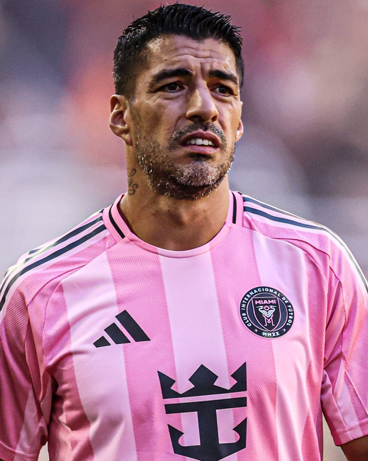ഇൻ്റർ മയാമി താരം ലൂയിസ് സുവാരസിന് മൂന്ന് മത്സരങ്ങളിൽ നിന്ന് വിലക്ക്. എതിർ ടീമിൻ്റെ സപ്പോർട്ട് സ്റ്റാഫിനെ തുപ്പിയതിനെ തുടർന്നാണ് നടപടി. മയാമിയുടെ മൂന്ന് ലീഗ് മത്സരങ്ങളിൽ നിന്നാണ് സുവാരസിനെ വിലക്കിയിരിക്കുന്നത്. ഉറുഗ്വേ താരമായ 38 വയസുകാരൻ ടീമിലെ പ്രധാന താരമാണ്.