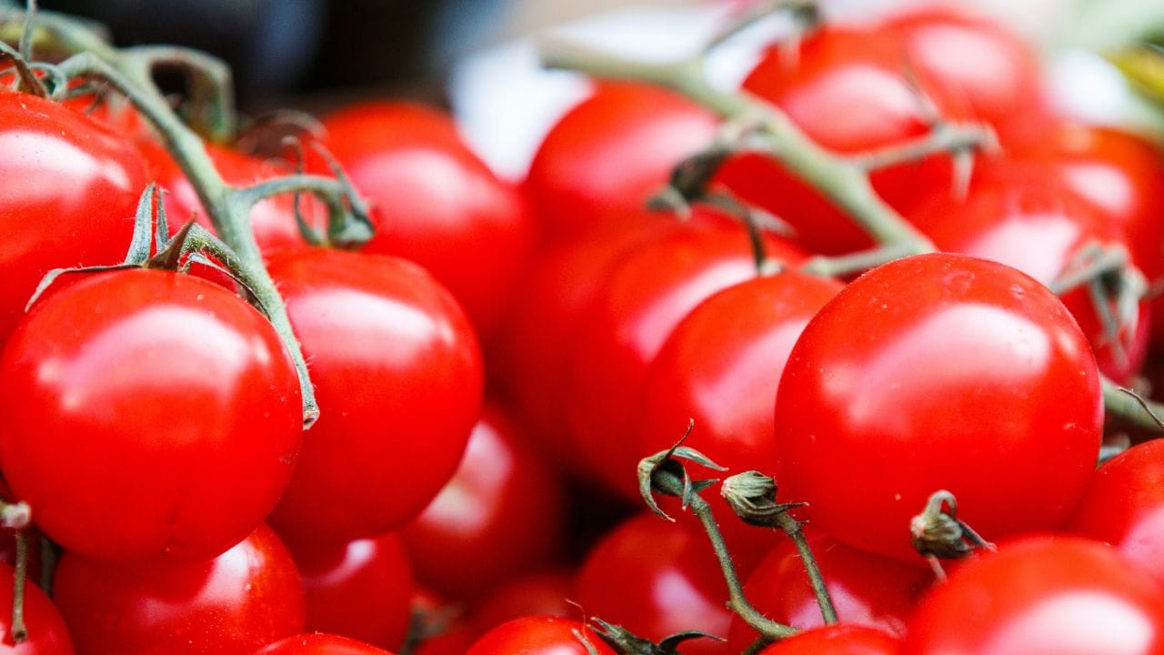 2017-18 വര്ഷത്തില് 10.21 ലക്ഷം ടണ്ണായിരുന്ന സംസ്ഥാനത്തെ പച്ചക്കറി ഉത്പാദനം 2023-24 വര്ഷത്തില് 17.21 ടണ്ണായാണ് വര്ധിച്ചത്. സവാളയുടെ വില 30 രൂപയ്ക്ക് താഴെയ്ക്കാണ് ഈ വര്ഷമെത്തിയത്. സംസ്ഥാനത്ത് സവാള ഉത്പാദനം വര്ധിച്ചത് വില കുറയുന്നതിന് സഹായകമായി. കഴിഞ്ഞ വര്ഷം ഓണത്തിന് 54-58 രൂപയായിരുന്നു സവാളയുടെ വില.