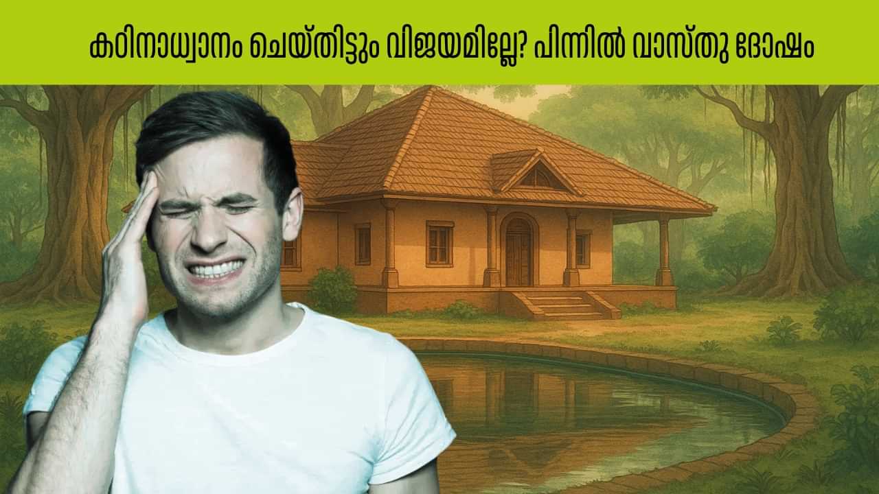 Malayalam Vastu Tips : കഠിനാധ്വാനം ചെയ്തിട്ടും വിജയമില്ലേ? പിന്നിൽ വാസ്തു ദോഷമാവാം