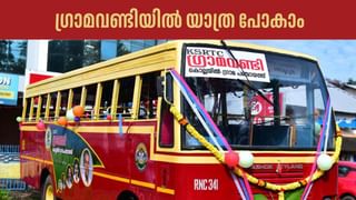 Amoebic Meningoencephalitis: മനുഷ്യരില്‍ നിന്നു മനുഷ്യരിലേക്കു പകരില്ല, അമീബിക് മസ്തിഷ്കജ്വരത്തെപ്പറ്റി അറിയേണ്ടതെല്ലാം