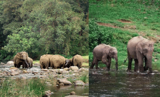 KSRTC Tour Package: യാത്ര പോകാൻ കെഎസ്ആർടിസിയുണ്ടല്ലോ! അവധിയാഘോഷിക്കാൻ കിടിലൻ ഉല്ലാസയാത്ര