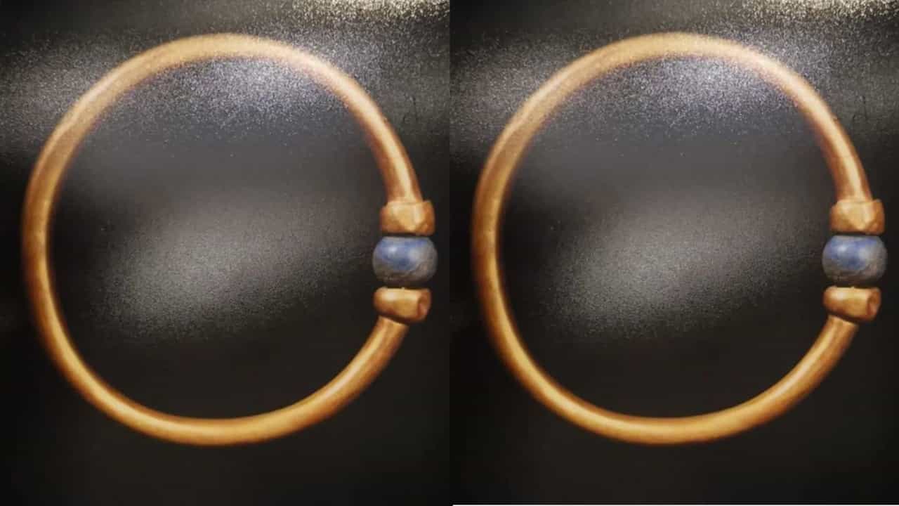 Viral News: മൂവായിരം വര്‍ഷം പഴക്കം, ഫറവോയുടെ ബ്രേസ്ലെറ്റ് കള്ളന്മാര്‍ പൊക്കി