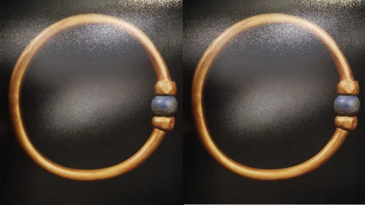 Viral News: മൂവായിരം വര്‍ഷം പഴക്കം, ഫറവോയുടെ ബ്രേസ്ലെറ്റ് കള്ളന്മാര്‍ പൊക്കി