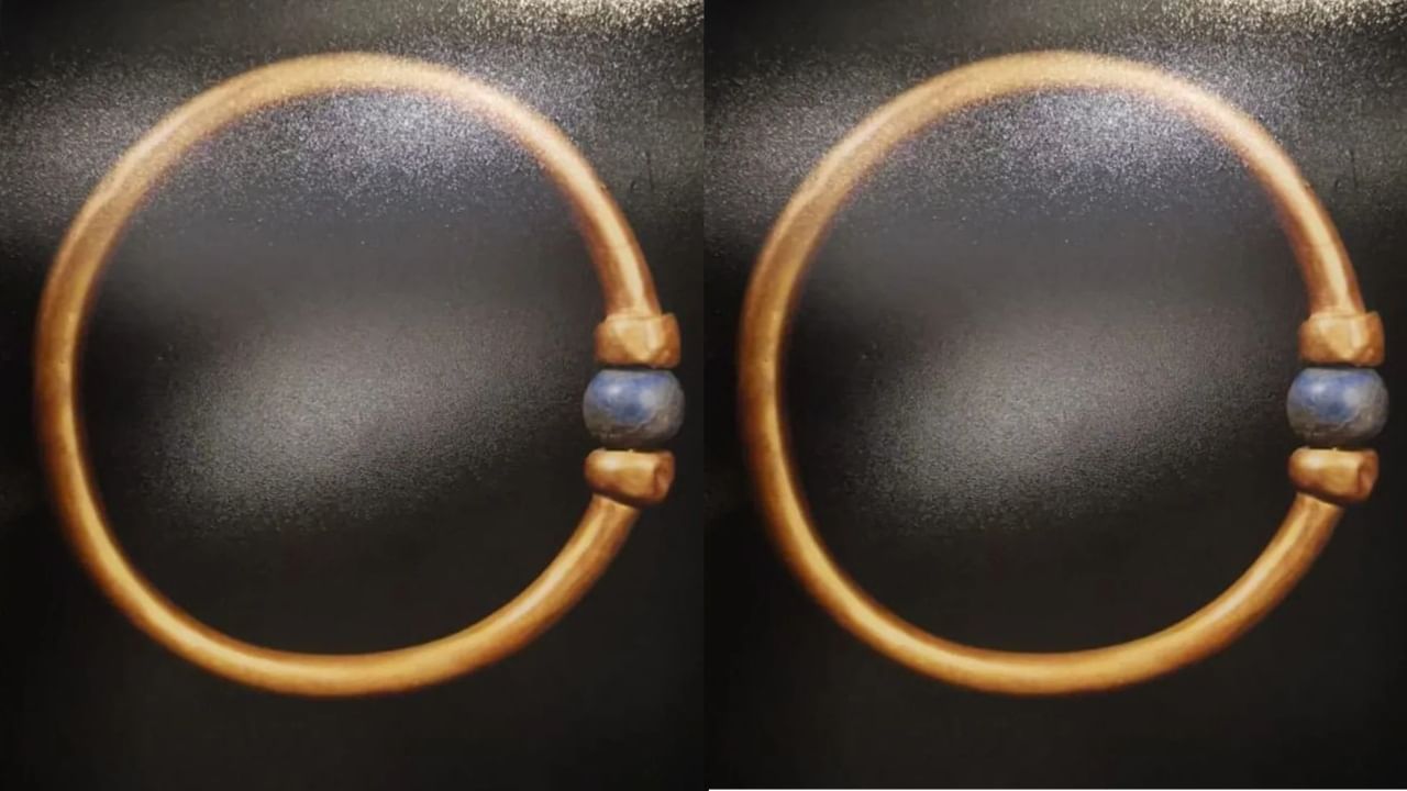 Viral News: മൂവായിരം വര്‍ഷം പഴക്കം, ഫറവോയുടെ ബ്രേസ്ലെറ്റ് കള്ളന്മാര്‍ പൊക്കി