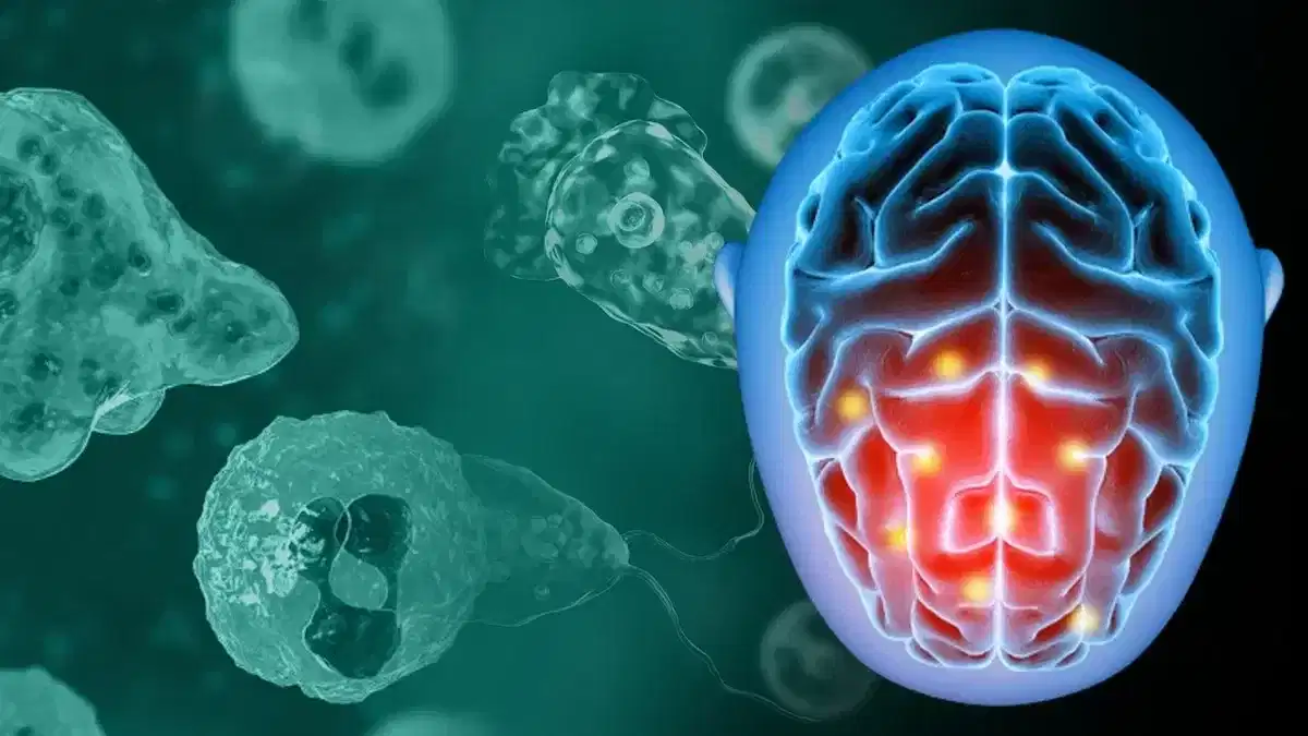 Amoebic encephalitis death: ഒരിടവേളയ്ക്ക് ശേഷം വീണ്ടും സംസ്ഥാനത്ത് അമീബിക് മസ്തിഷ്കജ്വരം ബാധിച്ച് മരണം