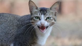 PM Narendra Modi Manipur Visit: ധീരന്മാരുടെ നാടാണ് മണിപ്പൂർ, ജനങ്ങളെ സല്യൂട്ട് ചെയ്യുന്നു; പ്രധാനമന്ത്രി നരേന്ദ്ര മോദി