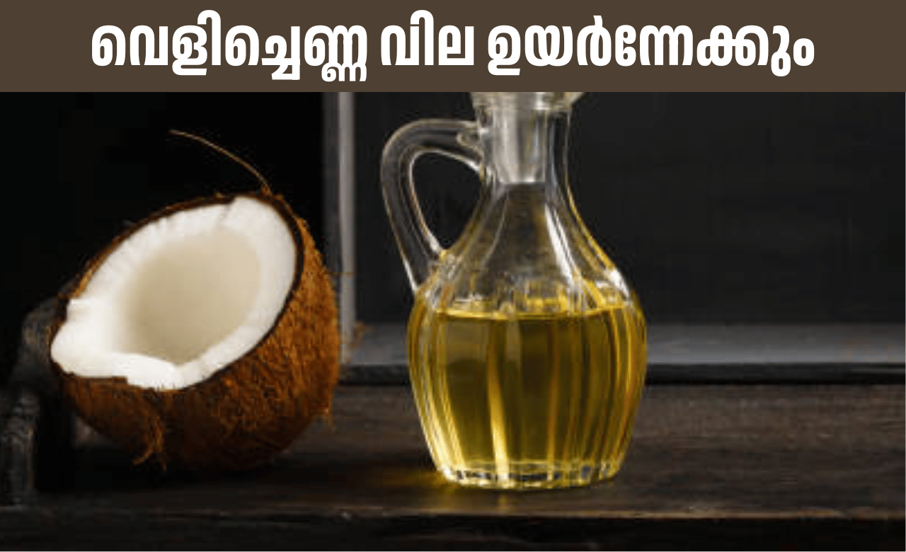 Coconut Oil Price: വെളിച്ചെണ്ണ വില ഉയർന്നേക്കും, കാരണമിത്….
