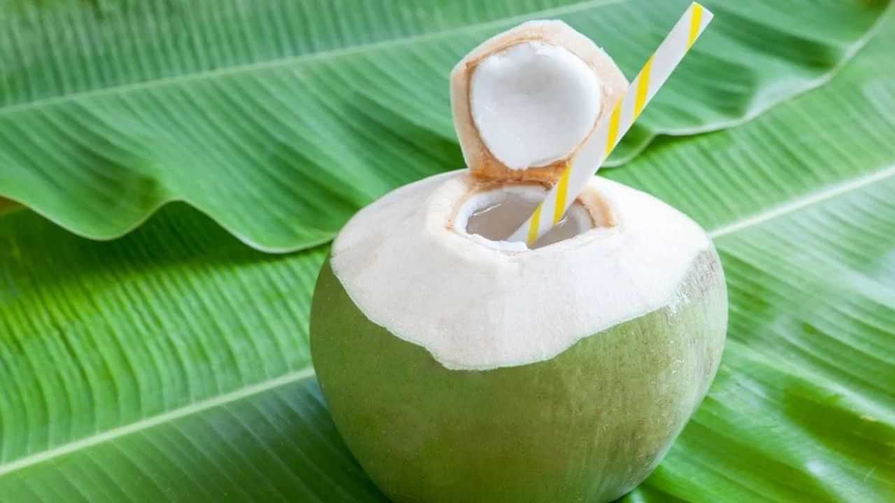 Coconut Water: തേങ്ങയിൽ നിന്നും നേരിട്ട് തേങ്ങാവെള്ളം കുടിക്കാറുണ്ടോ? ഈ അപകടം നിങ്ങളെ കാത്തിരിക്കുന്നു!