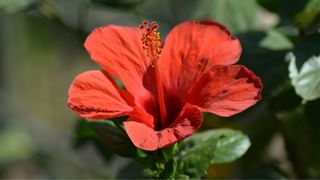 Asia Cup 2025: കലാശപ്പോരിന് മുമ്പ് ഇന്ത്യന്‍ ക്യാമ്പില്‍ ആശങ്ക, പരിക്കിന്റെ പിടിയില്‍ മൂന്ന് താരങ്ങള്‍