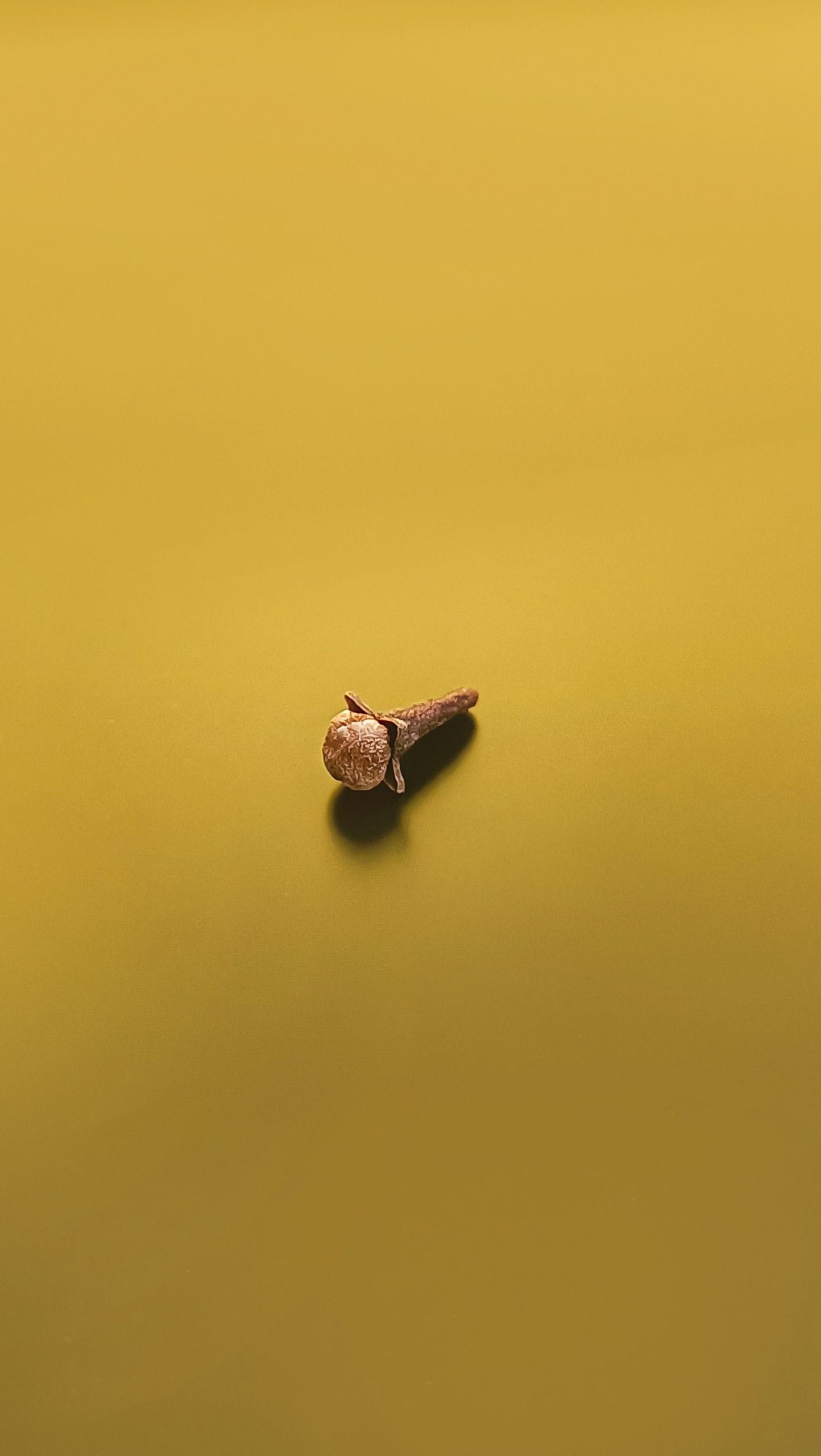 പലരും നേരിടുന്ന ഒരു പ്രധാന പ്രശ്നമാണ് വായ്നാറ്റം. വായ്നാറ്റമുള്ളവർ ഗ്രാമ്പൂ വെള്ളം കുടിക്കുന്നത് നിങ്ങളുടെ വായിലെ ദുർഗന്ധം അനായാസം ഇല്ലാതാക്കാൻ സഹായിക്കുന്നു. ​ഗ്രാമ്പുവിൽ അണുക്കളെ ചെറുക്കാൻ സഹായിക്കുന്ന സ്വാഭാവിക ആൻറി ബാക്ടീരിയൽ ഗുണങ്ങൾ അടങ്ങിയിട്ടുണ്ട്. (Image Credits: Unsplash)
