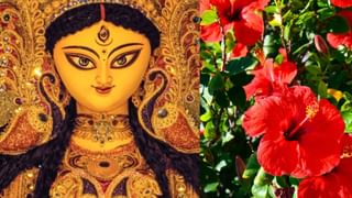 Navratri 2025 Hibiscus Remedies: നവരാത്രിയിൽ ദേവീ പ്രീതിക്ക് ചെമ്പരത്തിപ്പൂ: സമ്പത്തും ഐശ്വര്യവും വർദ്ധിപ്പിക്കാൻ ഈ വഴിപാടുകൾ ചെയ്യൂ!