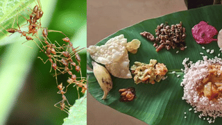 Onam 2025: പ്രമേഹത്തെ പേടിക്കേണ്ട; ഇക്കാര്യങ്ങൾ ശ്രദ്ധിച്ചാൽ ഓണസദ്യ ആസ്വദിക്കാം