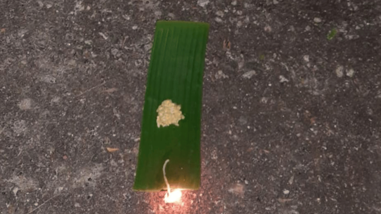 കേരളക്കര ഒന്നാകെ മാവേലി തമ്പുരാനെ വരവേൽക്കാൻ ഒരുങ്ങിക്കഴിഞ്ഞു. ഐശ്വര്യത്തിന്റെയും സമ്പൽസമൃദ്ധിയുടേയും ഓണനാളുകൾ‌ തകർത്ത് ആഘോഷിക്കുകയാണ് ഓരോ മലയാളികളും. (Image Credit: Social Media)