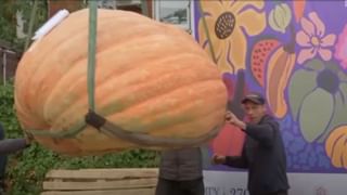 UAE Visa: ഒമ്പത് രാജ്യങ്ങളില്‍ നിന്നുള്ളവര്‍ക്കുള്ള വിസ യുഎഇ നിര്‍ത്തിവെച്ചു; ഇന്ത്യയും ഉള്‍പ്പെടുന്നോ?