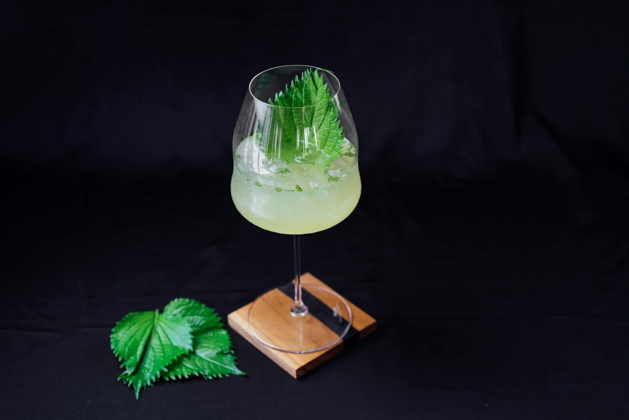 നാരങ്ങാവെള്ളം: ദിവസം ആരംഭിക്കാൻ ഏറ്റവും നല്ല പാനീയങ്ങളിൽ ഒന്നാണ് നാരങ്ങാവെള്ളം. ഒരു ഗ്ലാസ് ചെറുചൂടുള്ള വെള്ളത്തിൽ നാരങ്ങാനീര് പിഴിഞ്ഞ് രാവിലെ കുടിക്കുക. 2013 ലെ ഒരു ഗവേഷണം അനുസരിച്ച്, നാരങ്ങയിലെ വിറ്റാമിൻ സി ദഹനത്തെ പിന്തുണയ്ക്കുകയും, മെറ്റബോളിസം വർദ്ധിപ്പിക്കുകയും, കലോറി കൂടുതൽ ഫലപ്രദമായി കത്തിക്കാൻ സഹായിക്കുകയും ചെയ്യും. കൂടാതെ, ശരീരത്തിൽ നിന്ന് വിഷവസ്തുക്കളെ പുറന്തള്ളാൻ സഹായിക്കുകയും ചെയ്യുന്നു. (Image Credits: Unsplash)