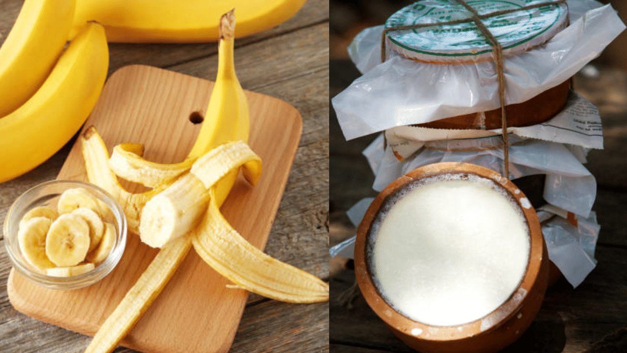 വാഴപ്പഴം ഉടച്ച് മുഖത്ത് പുരട്ടുന്നതും ചുളിവുകളും വരകളും മാറ്റാന്‍ സഹായിക്കും. മോയ്സ്ചറൈസിംഗ് ഗുണങ്ങളും ഇവയ്ക്കുണ്ട്. തൈരും ഉപയോ​ഗിക്കാവുന്നതാണ്. (Image Credit: Getty Images)