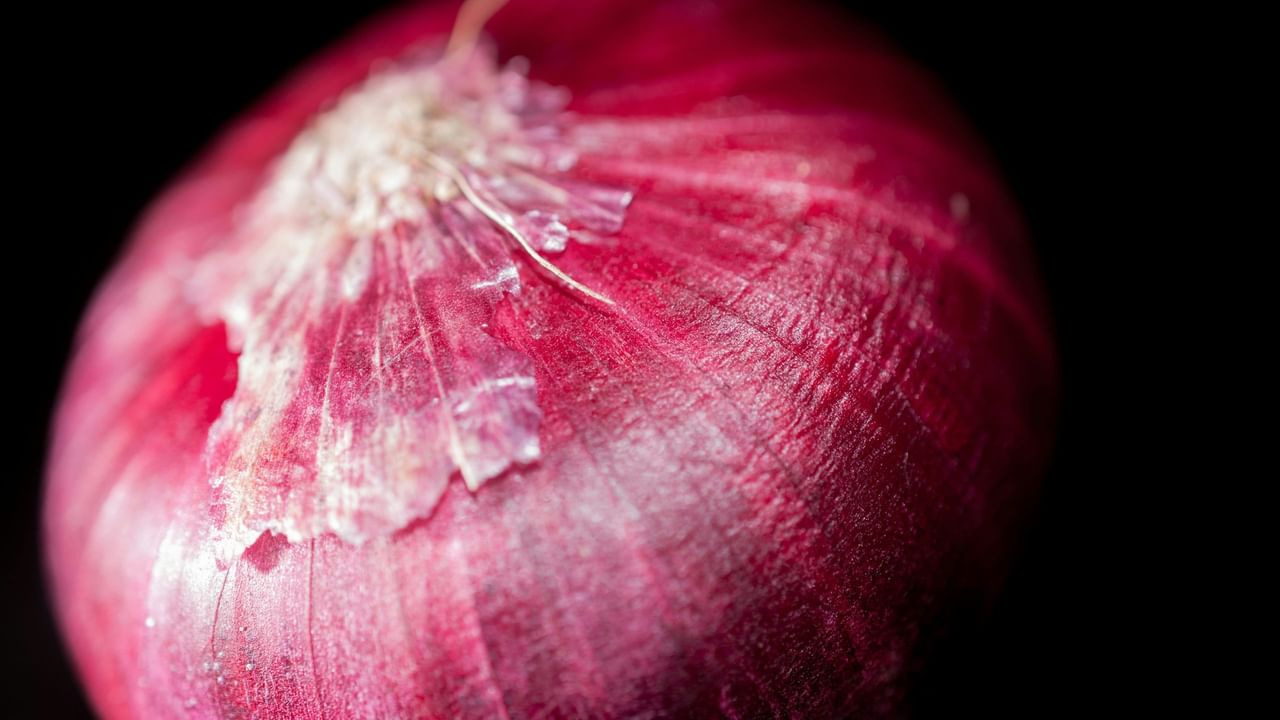 മുടിയിഴകളെ ശക്തിപ്പെടുത്താനും കട്ടിയാക്കാനും ഉള്ളി വളരെ നല്ലതാണ്. കാരണം അതിൽ സൾഫർ ധാരാളം അടങ്ങിയിട്ടുണ്ട്. ഇത് തലയോട്ടിയിലെ കൊളാജൻ ഉത്പാദനം വർദ്ധിപ്പിക്കുന്നു. കൊളാജൻ മുടിക്കും ചർമ്മത്തിനും ആവശ്യമായ ഒന്നാണ്. മുടി വളർച്ചയെ പ്രോത്സാഹിപ്പിന്നതോടൊപ്പം മുടി കൊഴിച്ചിൽ തടയുകയും ചെയ്യുന്നു. (Image Credits: Unsplash)