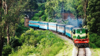 Onam 2025 Uthradam: തിരുവോണത്തെ വരവേൽക്കാൻ ഉത്രാടം വന്നെത്തി; ഇനി തിരക്കോട് തിരക്ക്…