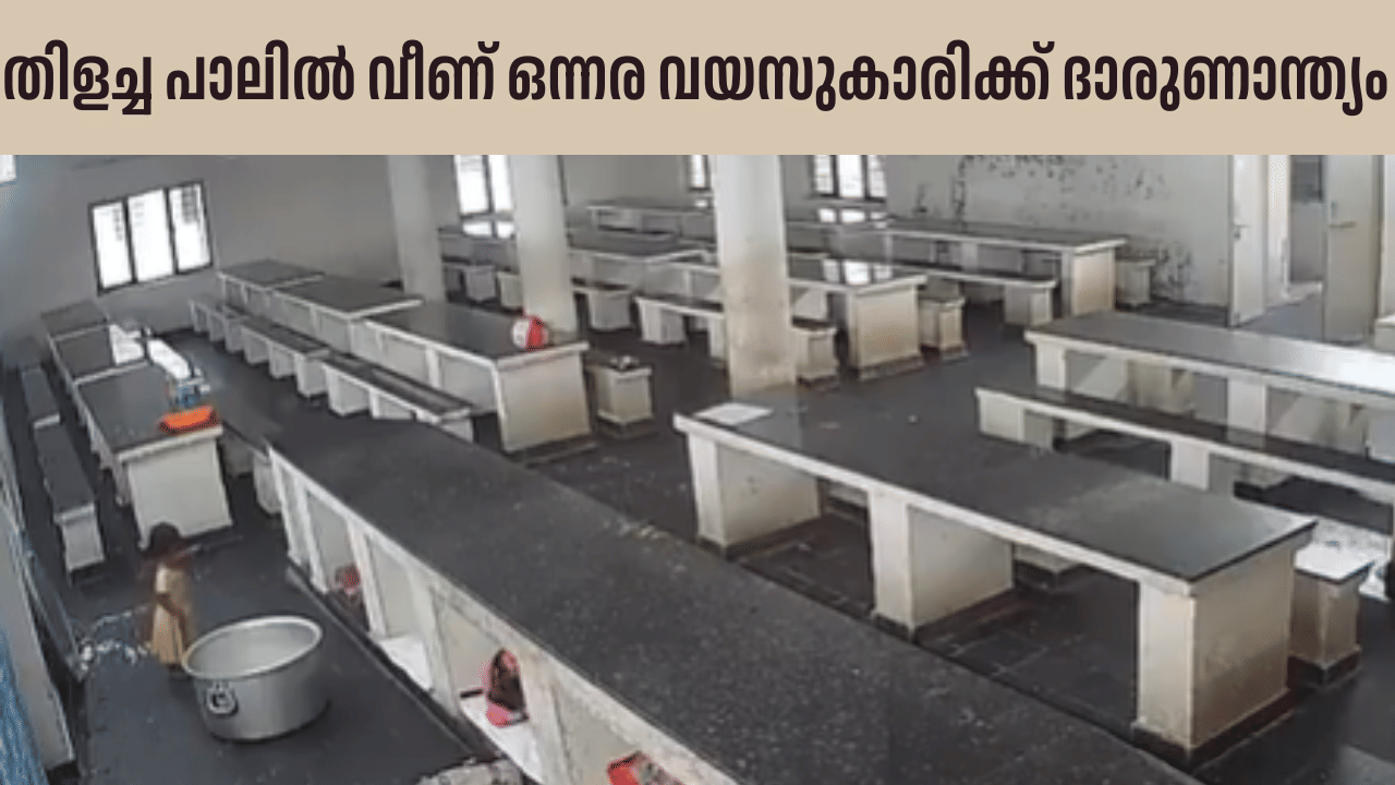 Viral Video: കളിച്ചുകൊണ്ടിരിക്കെ തിളച്ച പാലിൽ വീണ് ഒന്നര വയസുകാരിക്ക് ദാരുണാന്ത്യം