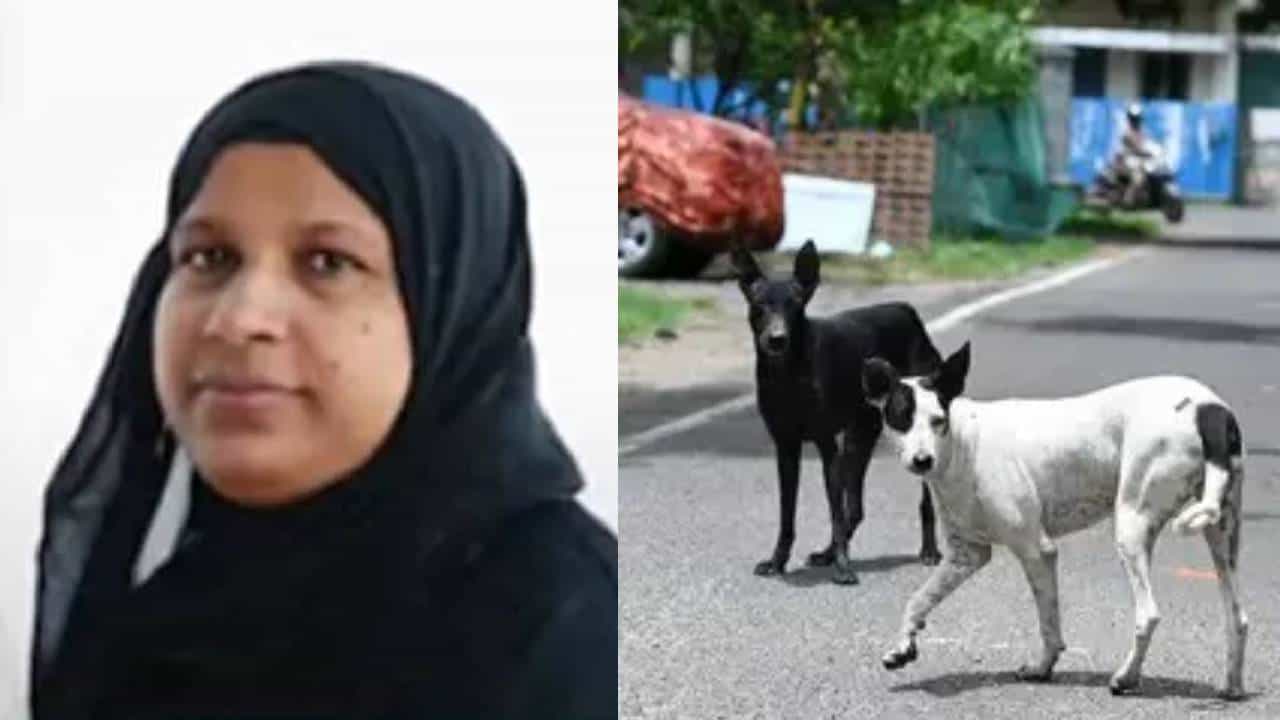 Accident Death: നായ കുറുകെ ചാടി അപകടം; പാലക്കാട് ബൈക്ക് യാത്രിക മരിച്ചു