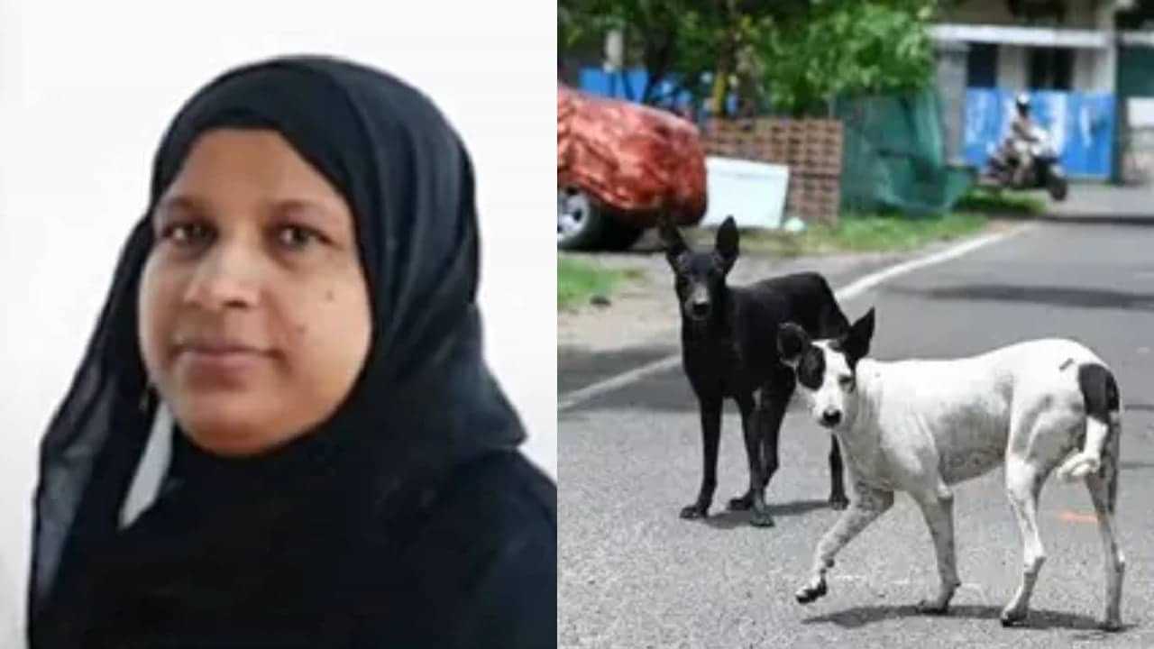 Accident Death: നായ കുറുകെ ചാടി അപകടം; പാലക്കാട് ബൈക്ക് യാത്രിക മരിച്ചു