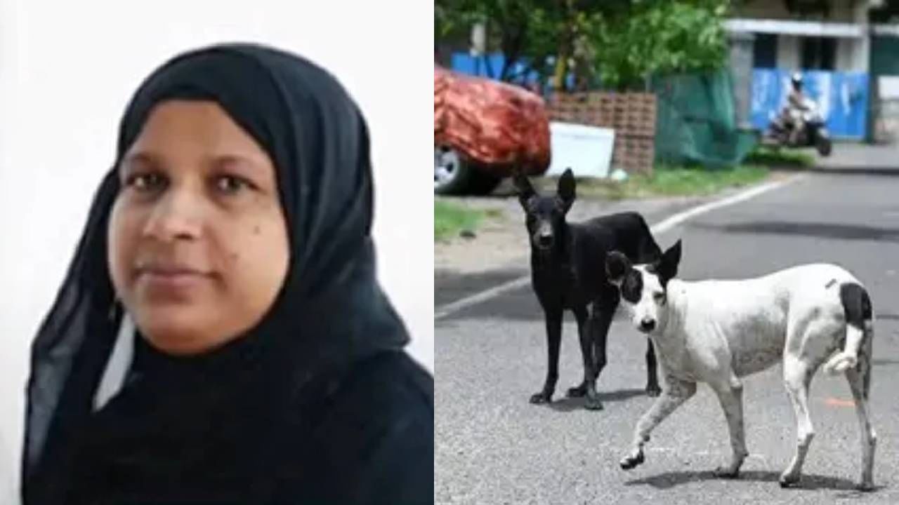 Accident Death: നായ കുറുകെ ചാടി അപകടം; പാലക്കാട് ബൈക്ക് യാത്രിക മരിച്ചു