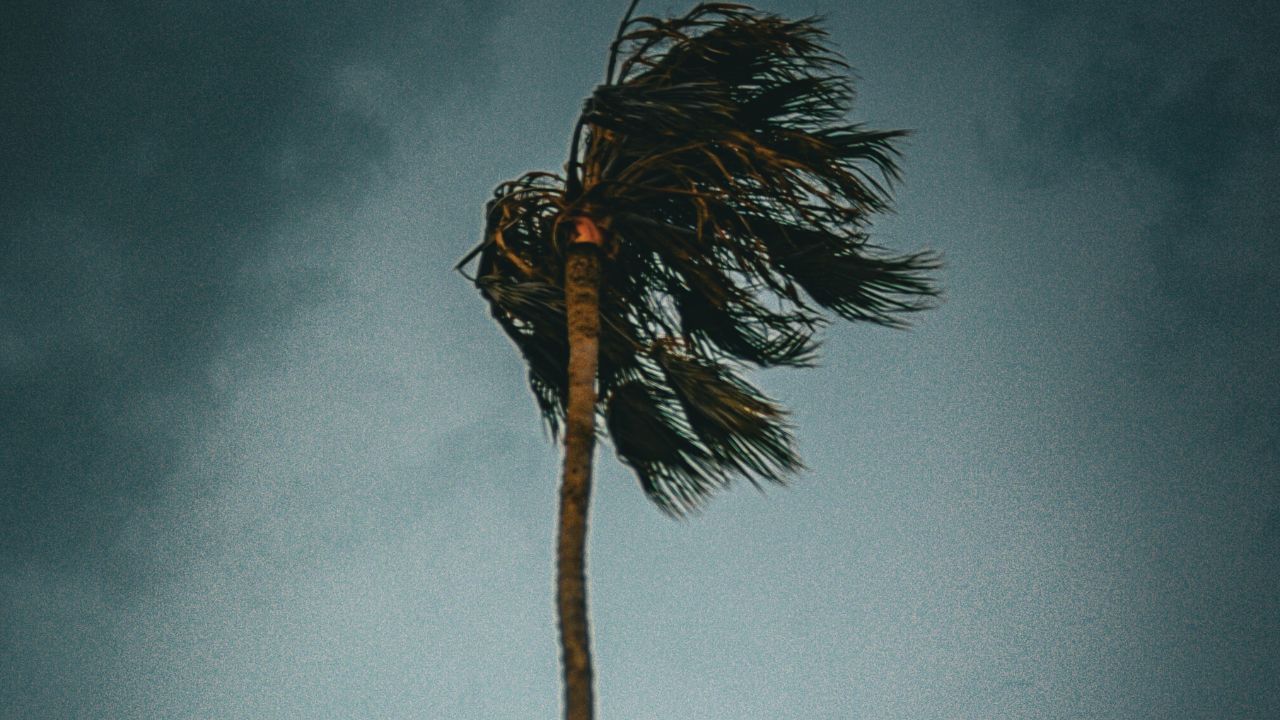 ഹരിക്കേൻ (Hurricane), സൈക്ലോൺ (Cyclone) എന്നിവ ഒരേ തരം ഉഷ്ണമേഖലാ ചുഴലിക്കാറ്റാണ്. ഇവ തമ്മിലുള്ള വ്യത്യാസം, കൊടുങ്കാറ്റ് രൂപപ്പെടുന്ന ഭൂമിശാസ്ത്രപരമായ സ്ഥലം മാത്രമാണ്.