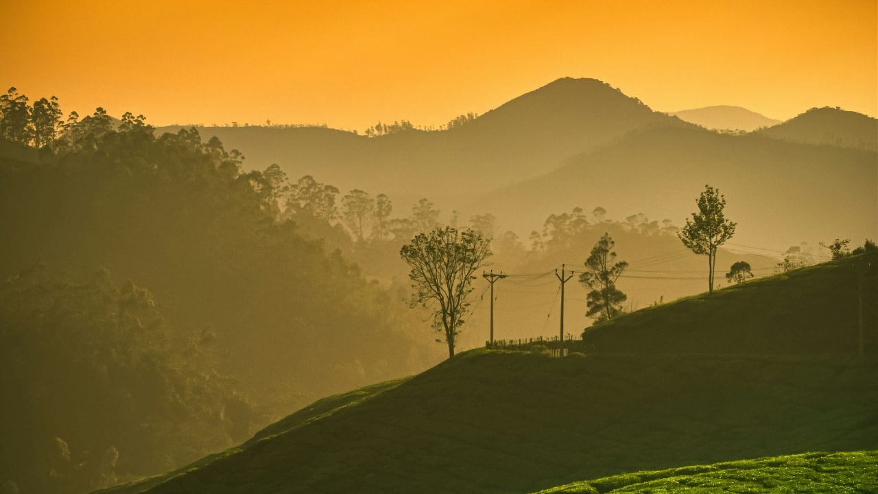 ശാന്തവും പ്രകൃതിരമണീയവുമായ സ്ഥലങ്ങൾ തേടുന്ന സഞ്ചാരികളുടെ ഇഷ്ടകേന്ദ്രമായി മൂന്നാർ മാറുന്നതായി അഗോഡയുടെ ഡാറ്റാ വിശകലനം സൂചിപ്പിക്കുന്നു. മലേഷ്യയിലെ കാമറൂൺ ഹൈലാൻഡ്‌സ്, ജപ്പാനിലെ ഫ്യൂജികവാഗുചിക്കോ, വിയറ്റ്നാമിലെ സാപ്പാ തുടങ്ങിയ പ്രശസ്തമായ സ്ഥലങ്ങൾക്കൊപ്പമാണ് മൂന്നാറും ഈ പട്ടികയിൽ ഇടം പിടിച്ചിരിക്കുന്നത്.