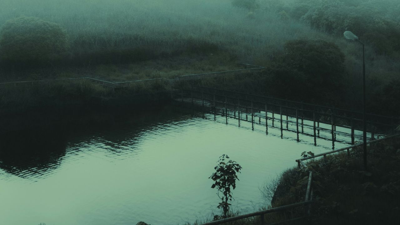 ഇത് കുളങ്ങളിൽ എങ്ങനെ എത്തുന്നു എന്നും എന്തുകൊണ്ട് ഇത് അപകടകാരിയാകുന്നു എന്നും നോക്കാം. ഈ അമീബ പ്രധാനമായും മണ്ണിലും ചെളിയിലുമാണ് ജീവിക്കുന്നത്. മഴ പെയ്യുമ്പോൾ മണ്ണും ചെളിയും ഒലിച്ചിറങ്ങുന്നതിലൂടെ ഇത് കുളങ്ങളിലും പുഴകളിലും എത്തുന്നു.