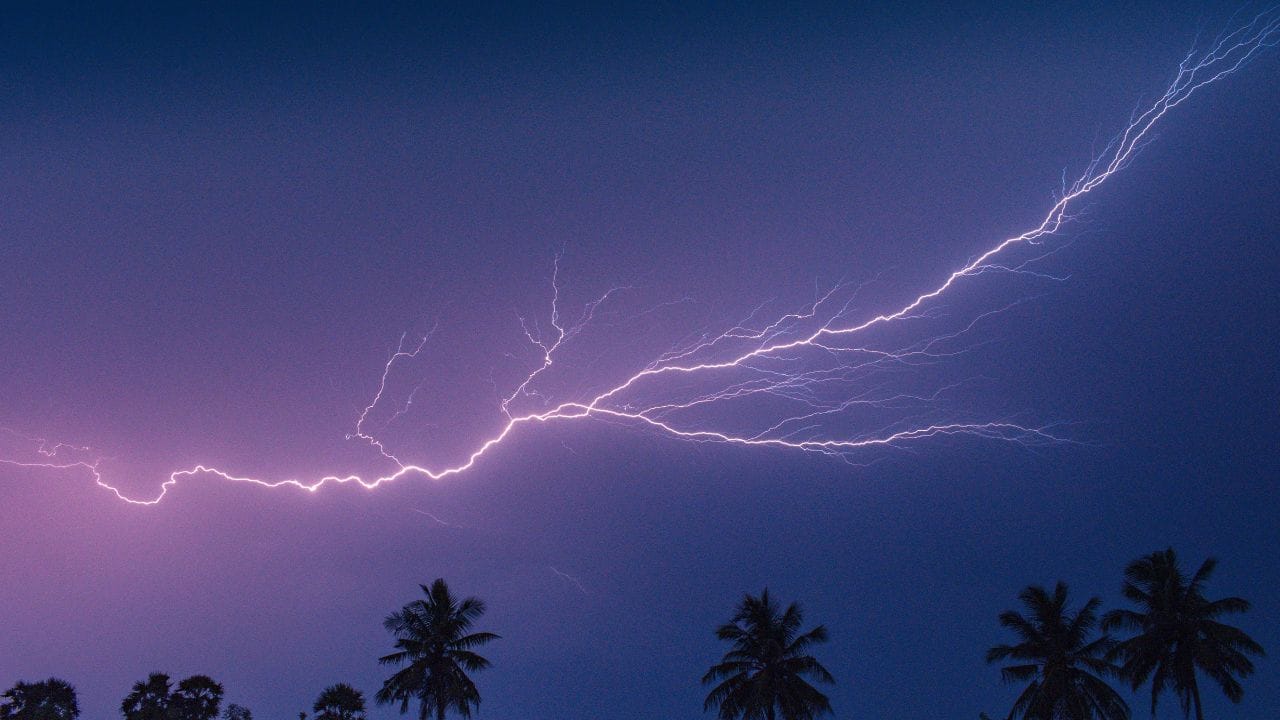 രാസവളങ്ങളുടെ ഏറ്റവും ചെലവേറിയ ഘടകങ്ങളിലൊന്നാണ് നൈട്രജൻ. മിന്നലിലൂടെ സൗജന്യമായി നൈട്രജൻ ലഭിക്കുമ്പോൾ കർഷകർക്ക് വാണിജ്യ വളങ്ങളെ ആശ്രയിക്കുന്നത് കുറയ്ക്കാനും പ്രവർത്തനച്ചെലവ് ലഘൂകരിക്കാനും സാധിക്കുന്നു.