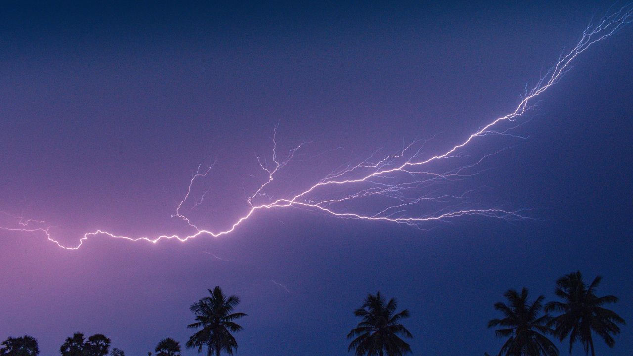 രാസവളങ്ങളുടെ ഏറ്റവും ചെലവേറിയ ഘടകങ്ങളിലൊന്നാണ് നൈട്രജൻ. മിന്നലിലൂടെ സൗജന്യമായി നൈട്രജൻ ലഭിക്കുമ്പോൾ കർഷകർക്ക് വാണിജ്യ വളങ്ങളെ ആശ്രയിക്കുന്നത് കുറയ്ക്കാനും പ്രവർത്തനച്ചെലവ് ലഘൂകരിക്കാനും സാധിക്കുന്നു.