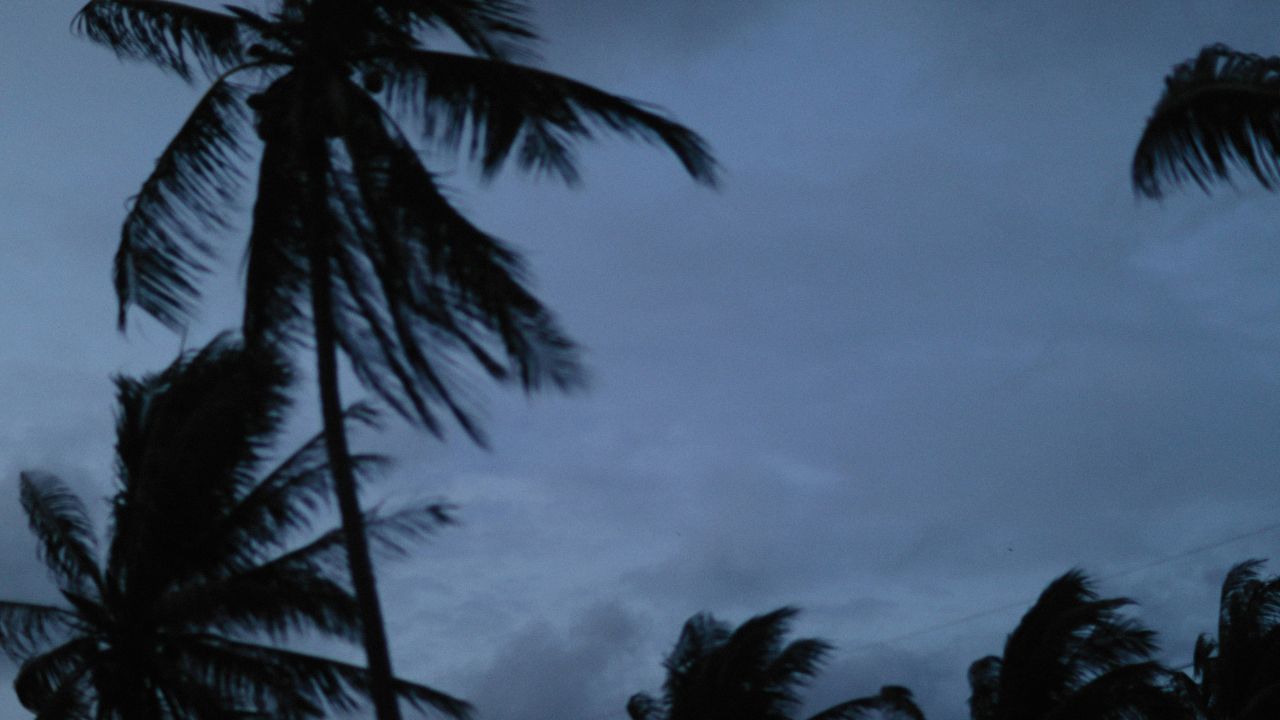 ഇവ രണ്ടും ഉപയോഗിക്കുന്ന ഭൂഖണ്ഡങ്ങൾ വ്യത്യസ്തമാണ്. ഹരിക്കേൻ എന്ന പേര് പ്രധാനമായും അമേരിക്കൻ മേഖലകളിലും കരീബിയൻ ദ്വീപുകളിലും ഉപയോഗിക്കുന്നു. സൈക്ലോൺ പ്രധാനമായും ഏഷ്യൻ രാജ്യങ്ങളിലും ഓസ്ട്രേലിയൻ പ്രദേശങ്ങളിലും ഉപയോഗിക്കുന്നതാണ്. ശാസ്ത്രീയമായി ഒരേ പ്രതിഭാസത്തിന് ലോകത്തിന്റെ മറ്റ് ഭാഗങ്ങളിൽ വ്യത്യസ്ത പേരുകളുണ്ട്.