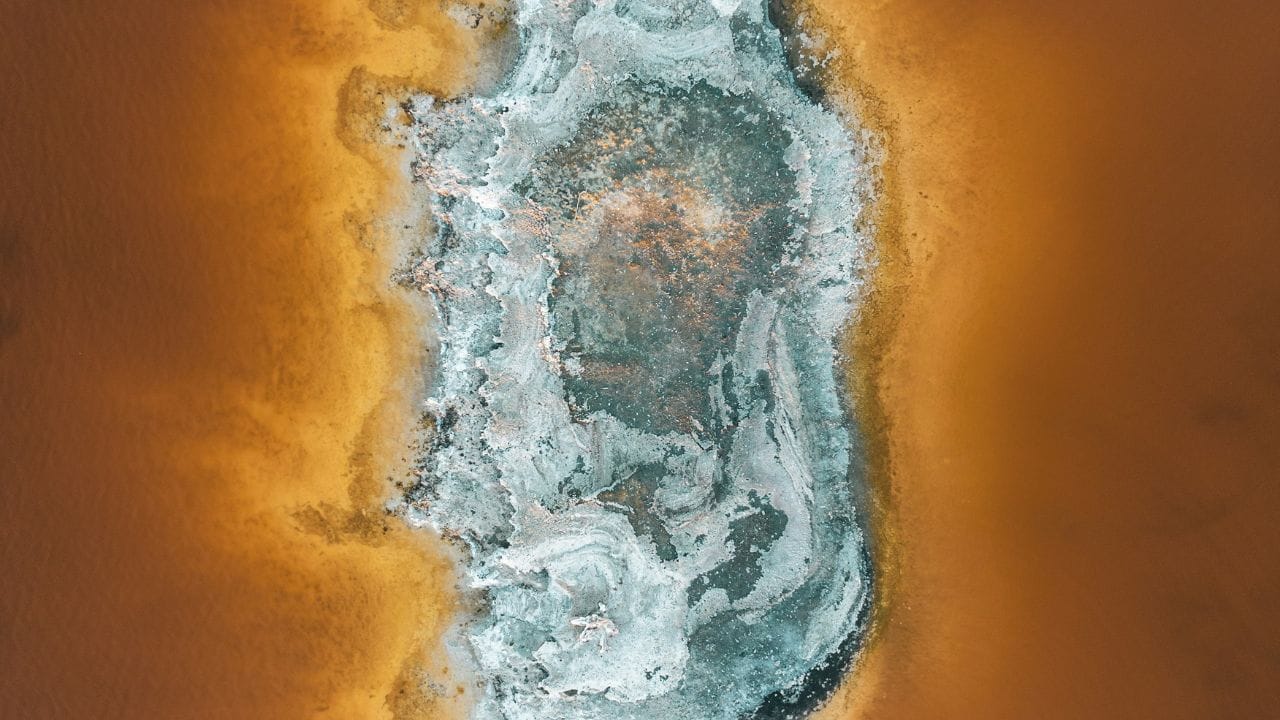 കോശങ്ങളെ വിഴുങ്ങുന്നതിനോടൊപ്പം, അമീബ ശക്തമായ പ്രോട്ടീനുകളും എൻസൈമുകളും പുറത്തുവിടുന്നു. ഈ രാസവസ്തുക്കൾ തലച്ചോറിലെ കോശങ്ങളുടെ ചുവരുകളിൽ ദ്വാരങ്ങൾ ഉണ്ടാക്കി അവയെ നശിപ്പിക്കാൻ സഹായിക്കുന്നു.