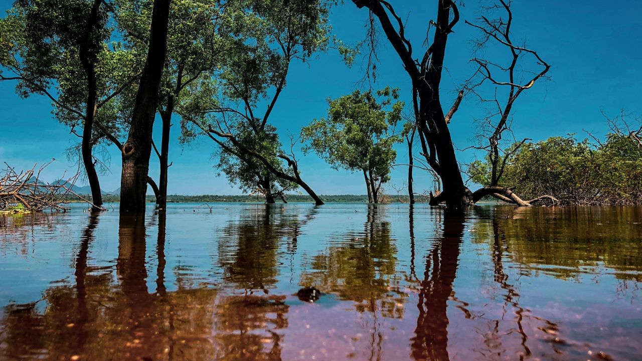 ഈ അമീബ ഒരു 'തെർമോഫിലിക്' (ചൂട് ഇഷ്ടപ്പെടുന്ന) ജീവിയാണ്. വെള്ളത്തിന്റെ താപനില 25°C-ൽ (77°F) കൂടുതലാകുമ്പോൾ ഇത് പെരുകാൻ തുടങ്ങുന്നു. കേരളത്തിലെ വേനൽക്കാലത്തും അന്തരീക്ഷ താപനില കൂടുമ്പോഴും കുളങ്ങളിലെ വെള്ളം ചൂടുപിടിക്കുകയും, ഇത് അമീബയ്ക്ക് വളരാൻ അനുയോജ്യമായ സാഹചര്യം ഒരുക്കുകയും ചെയ്യുന്നു.