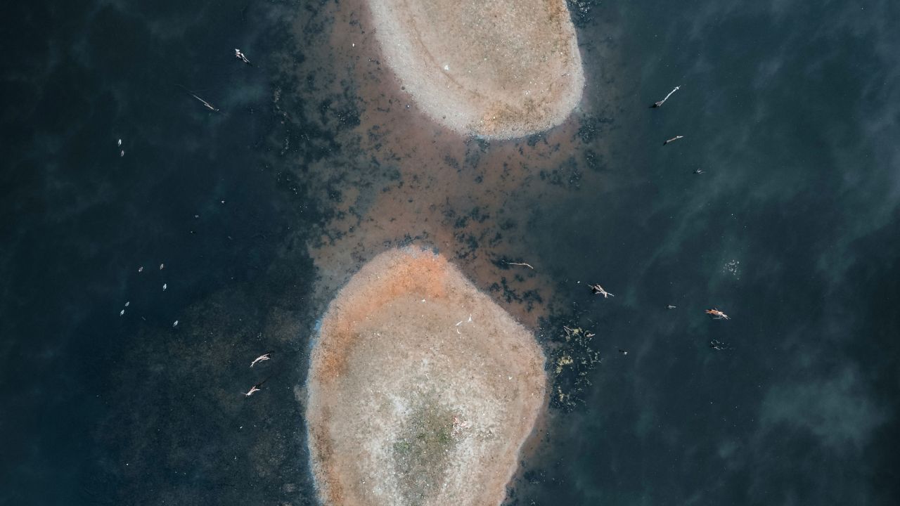 ഉപ്പുവെള്ളത്തിൽ (കടൽവെള്ളത്തിൽ) ഇവയ്ക്ക് ജീവിക്കാൻ കഴിയില്ല. അതിനാൽ ശുദ്ധജലത്തിലാണ് ഇവയുടെ സാന്നിധ്യം കാണപ്പെടുന്നത്. അമീബ വെള്ളത്തിലുണ്ടെങ്കിലും എല്ലാവർക്കും രോഗം വരണമെന്നില്ല. അമീബ ശരീരത്തിൽ പ്രവേശിക്കുമ്പോൾ മാത്രമാണ് രോഗമുണ്ടാക്കുന്നത്