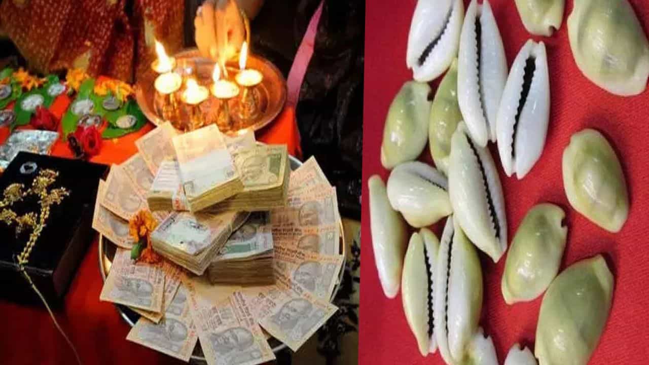 Dhanteras 2025 Kaudi remedy: ഭാഗ്യം തുറക്കാൻ കവടിയാണ് താക്കോൽ! ധന്തേരസിൽ ലക്ഷ്മി ദേവിയെ പ്രീതിപ്പെടുത്താൻ ഒരു രഹസ്യ കർമ്മം