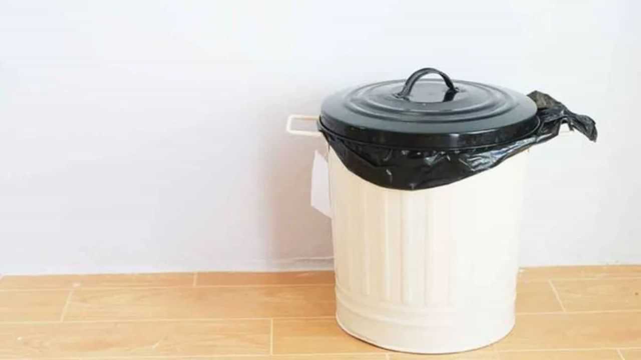 Vastu Tips For Dustbin: ചവറ്റുകുട്ട വീട്ടിൽ എവിടെ സൂക്ഷിക്കണം? ഏതാണ് ആ ദിശ Vastu Tips For Dustbin: ചവറ്റുകുട്ട വീട്ടിൽ എവിടെ സൂക്ഷിക്കണം? ഏതാണ് ആ ദിശ