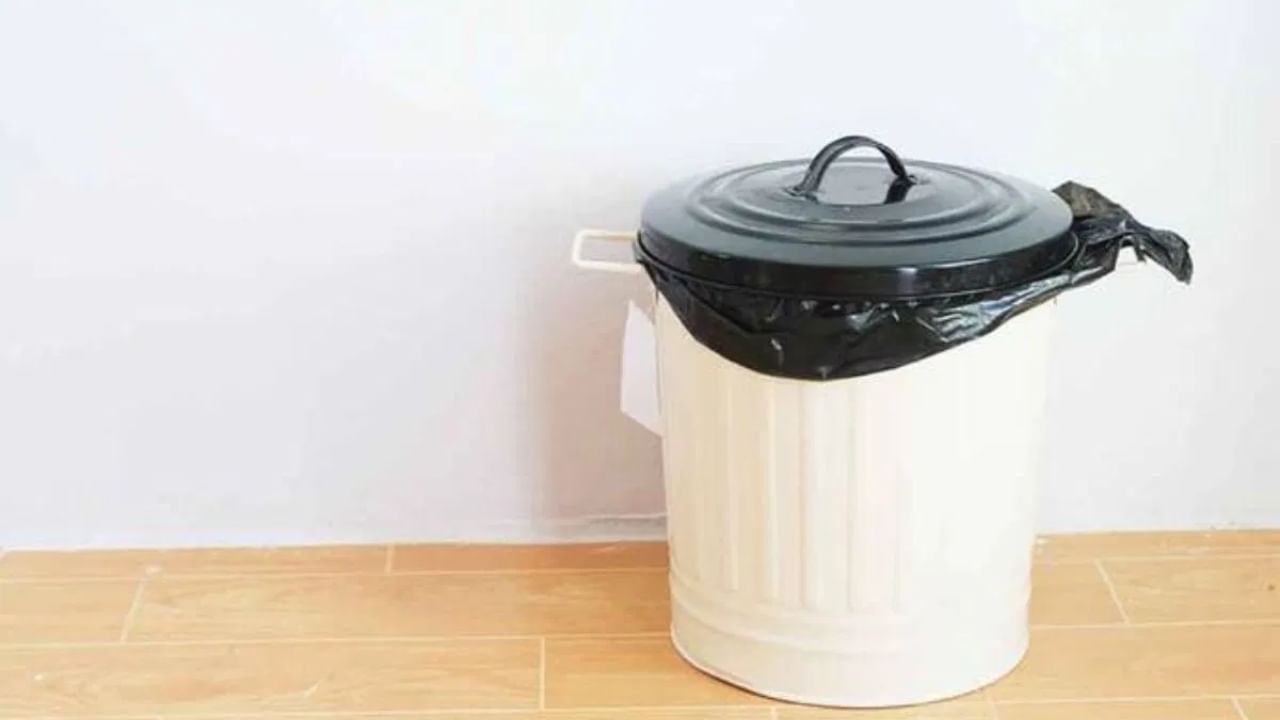 Vastu Tips For Dustbin: ചവറ്റുകുട്ട വീട്ടിൽ എവിടെ സൂക്ഷിക്കണം? ഏതാണ് ആ ദിശ