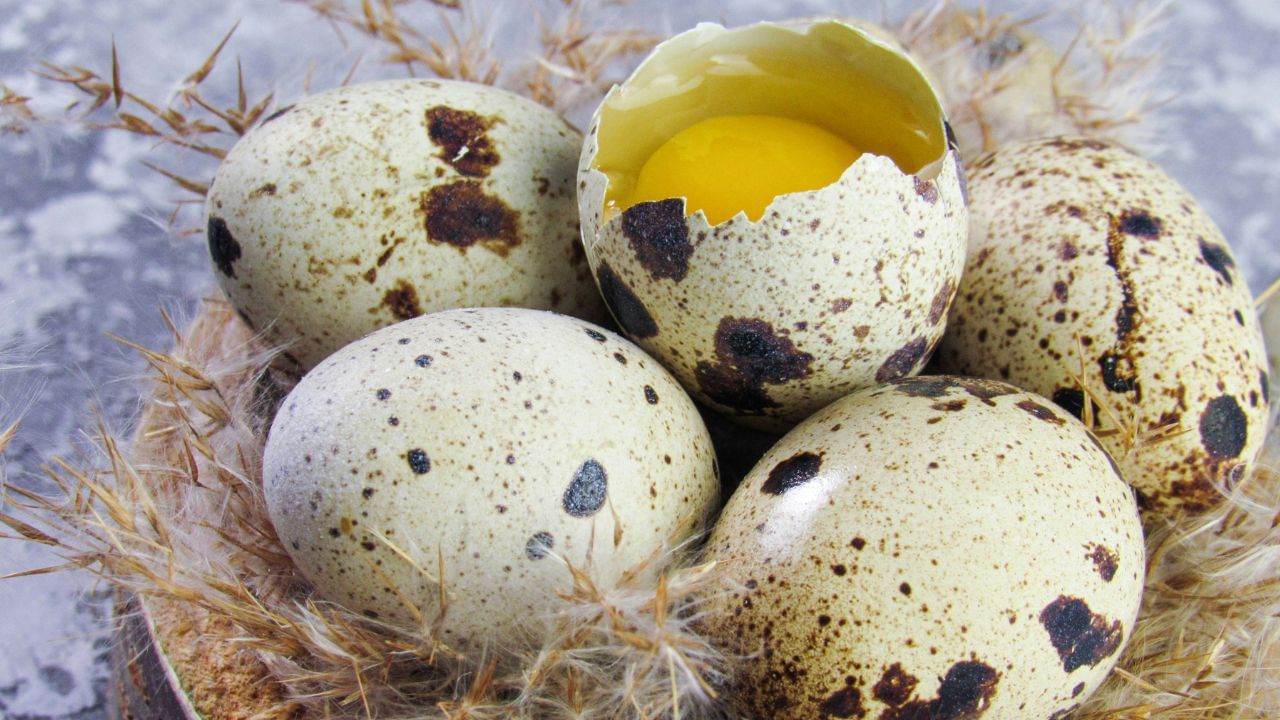 എങ്കിലും പൊതുവിൽ ആളുകൾ കൂടുതലായി കഴിക്കുന്നത് കോഴിമുട്ടയാണ്. എന്നിരുന്നാലും അടുത്തിടയായി കോഴിമുട്ടയും കാടമുട്ടയും തമ്മിൽ ഒരു താരതമ്യം വന്നിട്ടുണ്ട്. ശരീരത്തിന് ഏറ്റവും മികച്ചത് കണ്ടെത്തി കഴിക്കുന്നതാണ് ഇപ്പോൾ ആളുകളുടെ പൊതുവായ ഒരു രീതി. (Photo Credit: Unplash)