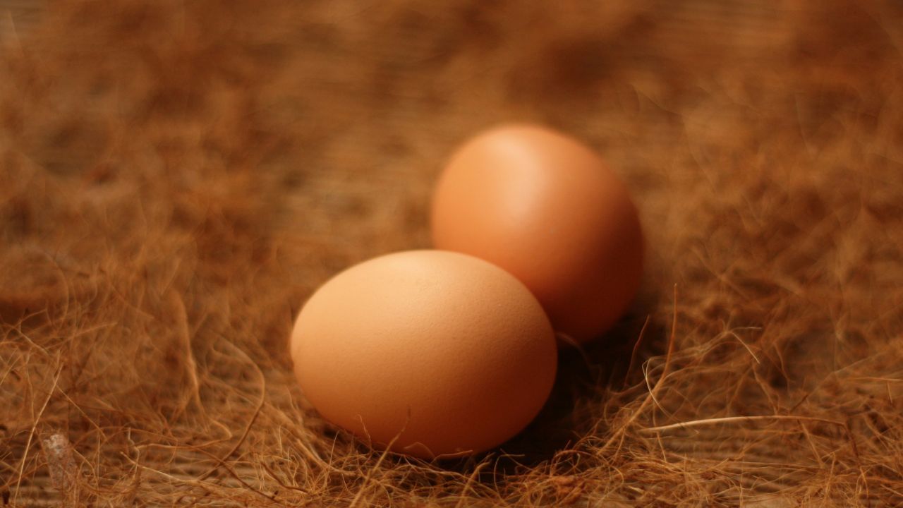 എന്നാൽ കാടമുട്ടയിൽ അലർജിക്കുള്ള സാധ്യത വളരെ കുറവാണ്. പോഷകസമൃദ്ധം ആകാൻ ആണ് ഉദ്ദേശിക്കുന്നതെങ്കിൽ കാടമുട്ടയാണ് അല്പം കൂടെ മികച്ചത്. എന്നിരുന്നാലും മുട്ടയും നിത്യേനെ കഴിക്കുന്നത് ആരോഗ്യത്തിന് നല്ലതാണ്. അതായത് പോഷകങ്ങൾ തമ്മിൽ താരതമ്യം ചെയ്യുമ്പോൾ കാടമുട്ട ഒരു പടി മുന്നിലാണെങ്കിലും സമീകൃതാഹാരം എന്ന നിലയിൽ കോഴിമുട്ടയും കാടമുട്ടയും നിത്യേന ഭക്ഷണത്തിൽ ഉൾപ്പെടുത്തുന്നത് നല്ലതാണ്.(Photo Credit: Unplash)