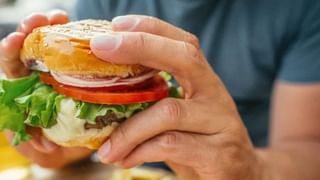 Ashley Tellis: ചൈനയുമായി ബന്ധം? യുഎസില്‍ അറസ്റ്റിലായ ആഷ്‌ലി ടെല്ലിസ് ആരാണ്?