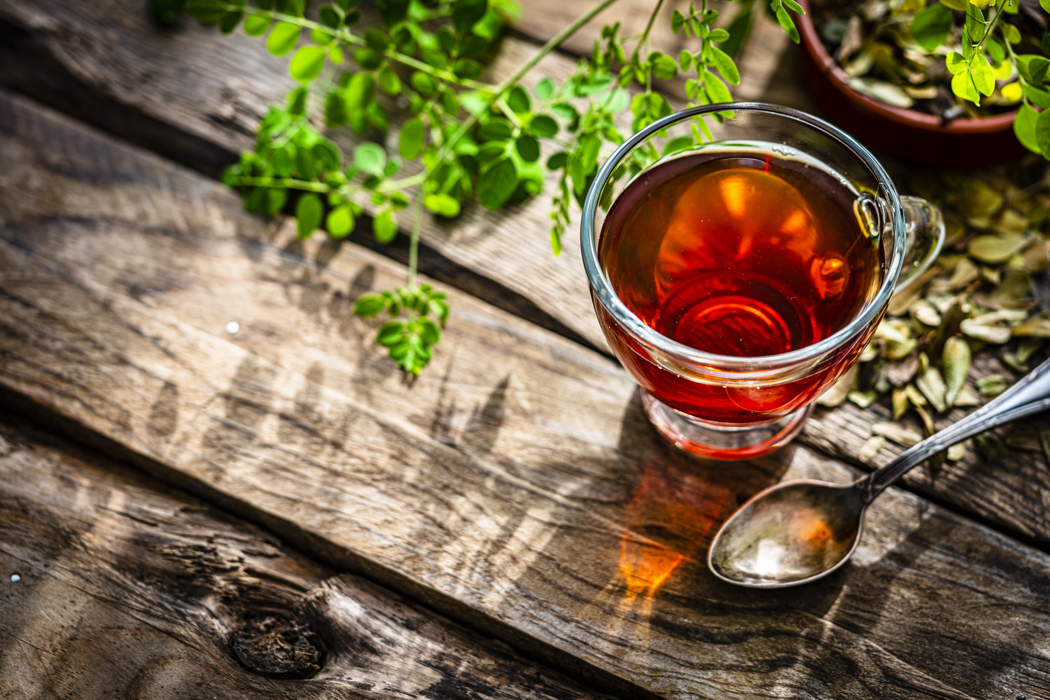 ഒരു കപ്പ് വെള്ളം തിളപ്പിച്ച് ഒരു ടീസ്പൂൺ ഉണങ്ങിയ മുരിങ്ങ ഇലയോ അതിൻ്റെ പൊടിയോ ചേർക്കുക. തിളച്ചതിന് ശേഷം അരിച്ചെടുക്കുന്നതിന് മുമ്പ് 5 മുതൽ 7 മിനിറ്റ് വരെ ഇത് കുതിർക്കാൻ വയ്ക്കുക. മികച്ച ​ഗുണങ്ങൾക്കായി നിങ്ങൾക്ക് ഒരു നുള്ള് നാരങ്ങ നീര് ചേർക്കാം അല്ലെങ്കിൽ വെറുതെയും കുടിക്കാം. മിതമായ അളവിൽ ദിവസവും കുടിക്കാവുന്ന ആരോ​ഗ്യകരമായ ചായയാണിത്. (Image Credits: Getty Images)
