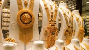 Gold Rate: എവിടെ പോകാന്, സ്വര്ണം പതുങ്ങിയത് കുതിക്കാന് തന്നെ; കാത്തിരുന്ന് കാണാമെന്ന് വിദഗ്ധര് Gold Rate: എവിടെ പോകാന്, സ്വര്ണം പതുങ്ങിയത് കുതിക്കാന് തന്നെ; കാത്തിരുന്ന് കാണാമെന്ന് വിദഗ്ധര്