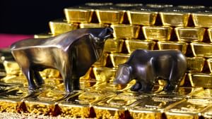 Kerala Gold Rate: അടുത്തയാഴ്ച 1 ലക്ഷം താണ്ടും? സ്വര്ണം വില കുറഞ്ഞാലും കൂടിയാലും വാങ്ങിക്കാന് പറ്റില്ല Kerala Gold Rate: അടുത്തയാഴ്ച 1 ലക്ഷം താണ്ടും? സ്വര്ണം വില കുറഞ്ഞാലും കൂടിയാലും വാങ്ങിക്കാന് പറ്റില്ല