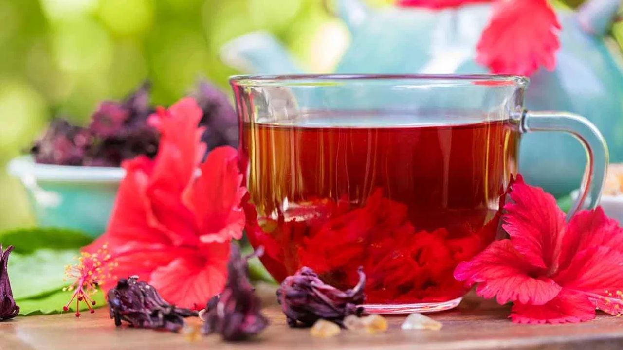 ചെമ്പരത്തി ചായ: ഹൃദയാരോഗ്യത്തിന് ഉണങ്ങിയ ചെമ്പരത്തിപ്പൂ കൊണ്ട് തയ്യാറാക്കുന്ന ചെമ്പരത്തി ചായ കഴിക്കുന്നത് വളരെ നല്ലതാണ്. ഇത് ശരീരത്തിലെ ചീത്ത കൊളസ്ട്രോൾ കത്തിക്കാൻ സഹായിക്കും..(Photo: TV9)